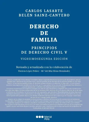 Principios de Derecho Civil. Tomo V