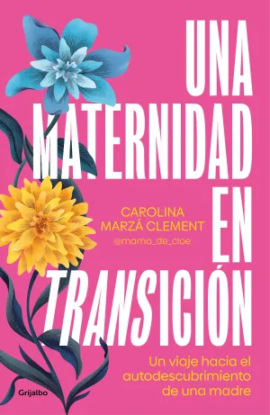 Una Maternidad en Transición