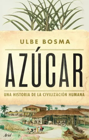 Azúcar